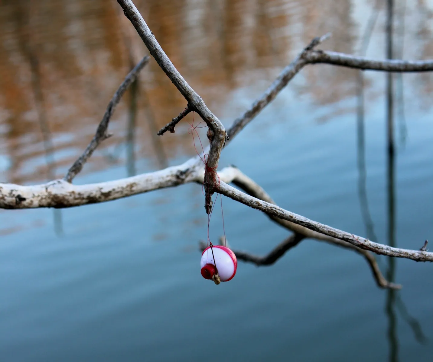 A fishing bobber beside calm lake water